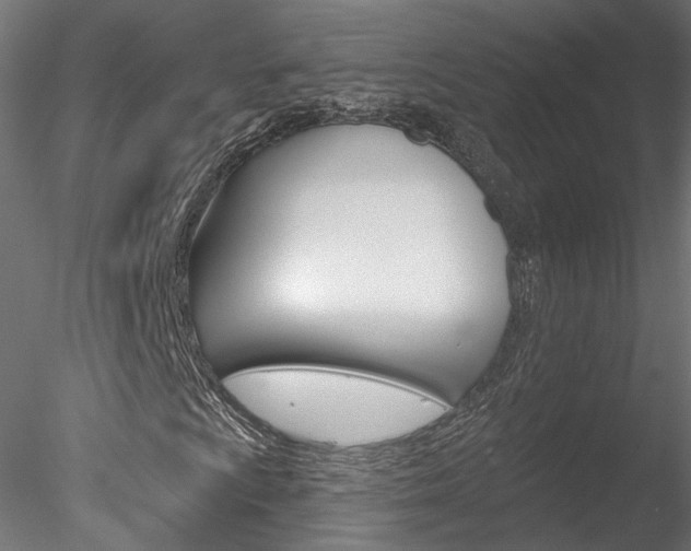 X0000078311009200611031041