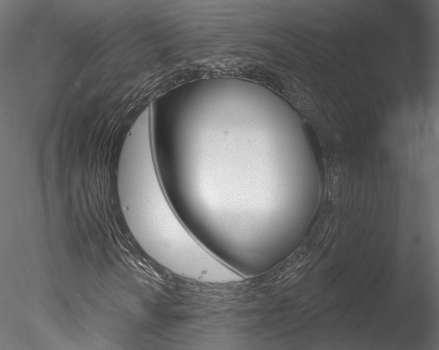 X0000078311010200611031041