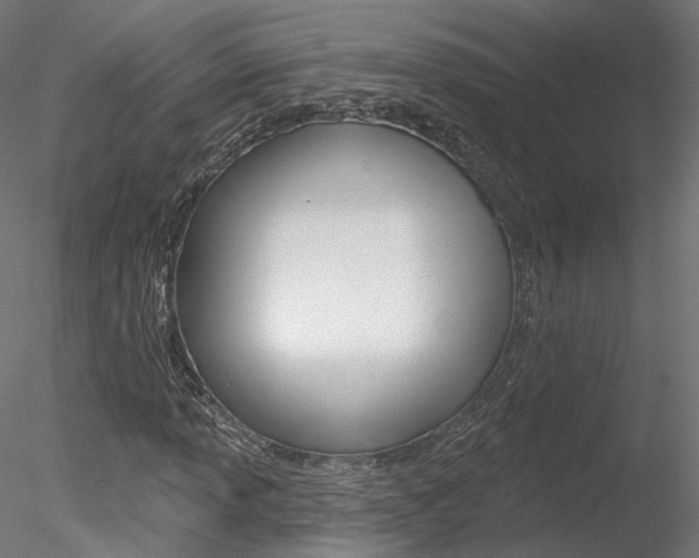 X0000078311013200611031041
