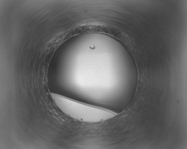 X0000078311014200611031041