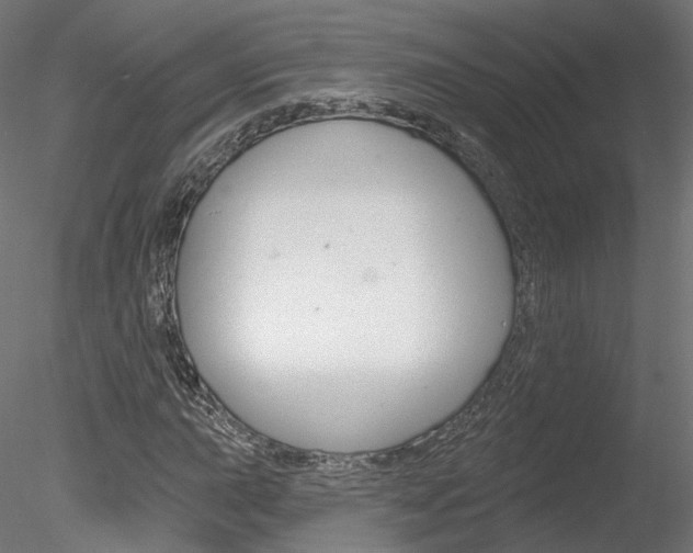 X0000078311015200611031041