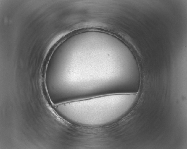 X0000078311024200611031041