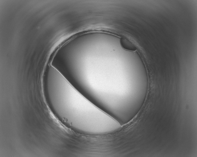 X0000078311032200611031042
