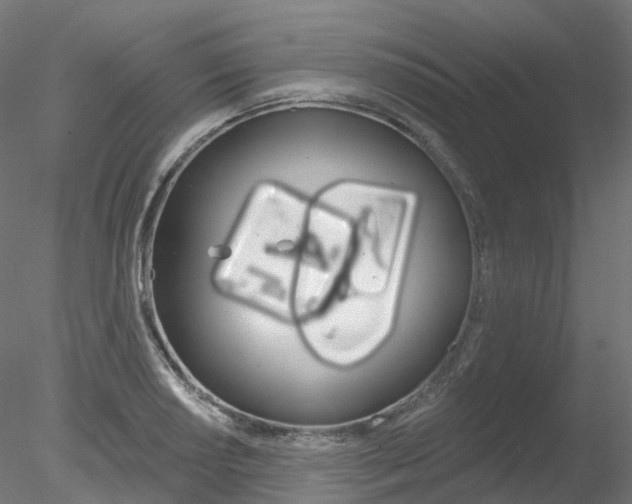 X0000078311034200611031042
