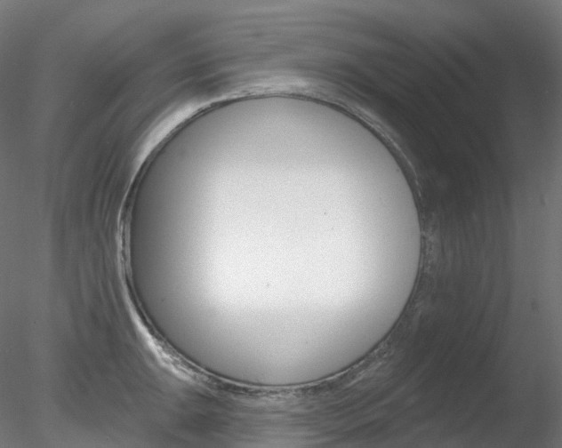 X0000078311047200611031042
