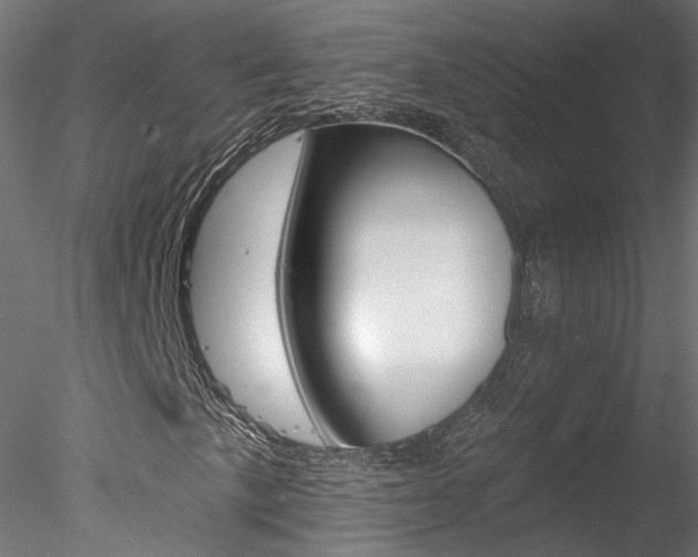 X0000078311057200611031041