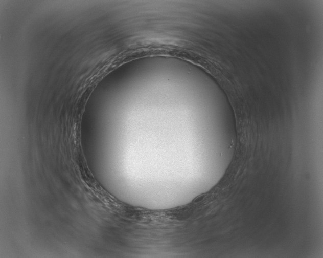 X0000078311061200611031041