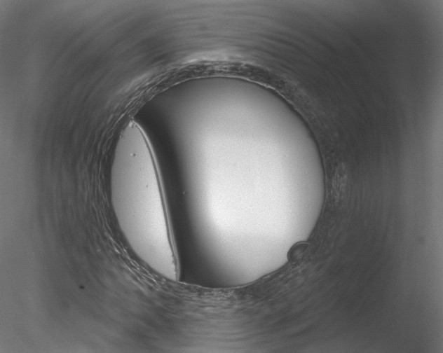 X0000078311062200611031041