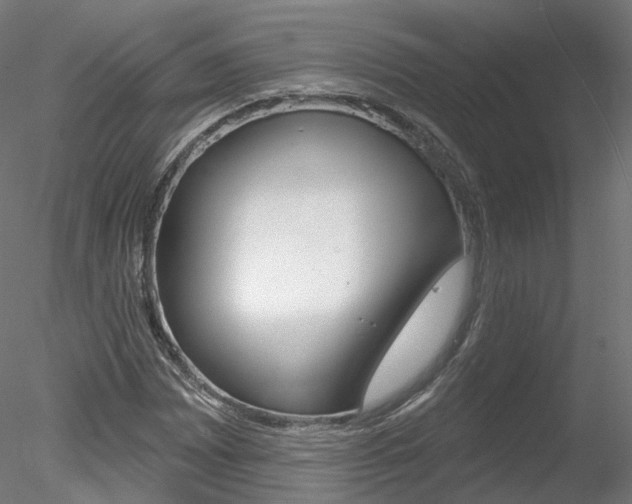 X0000078311065200611031041