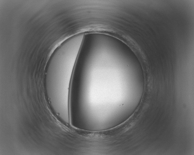 X0000078311081200611031041