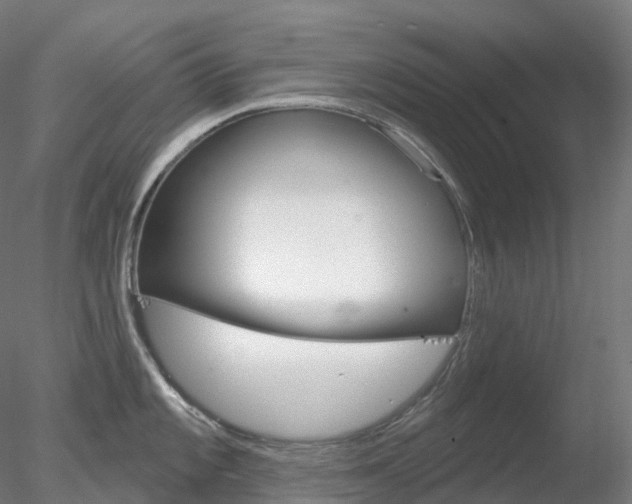 X0000078311101200611031040