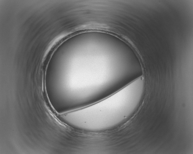 X0000078311123200611031040
