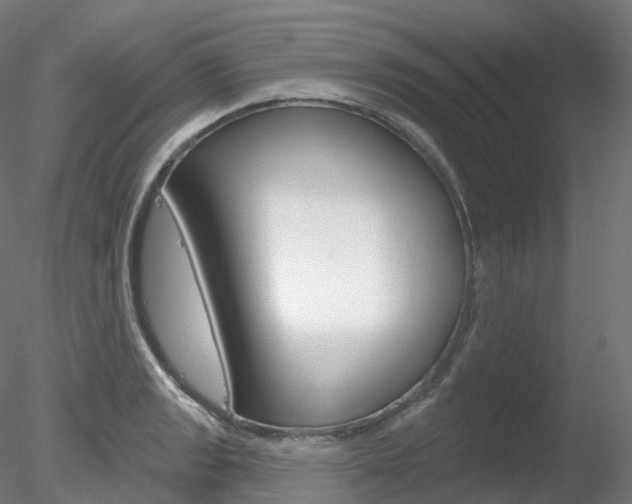 X0000078311133200611031040