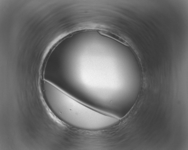 X0000078311136200611031040