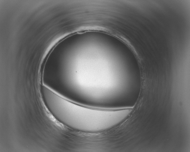 X0000078311140200611031040