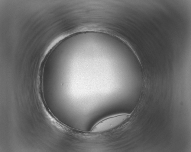 X0000078311147200611031040