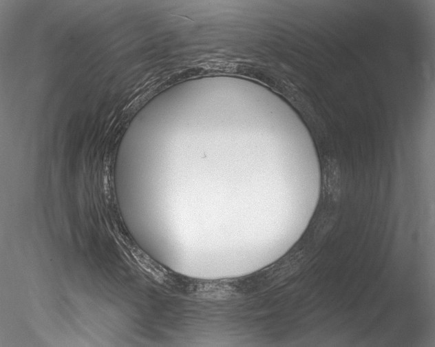 X0000078311154200611031040
