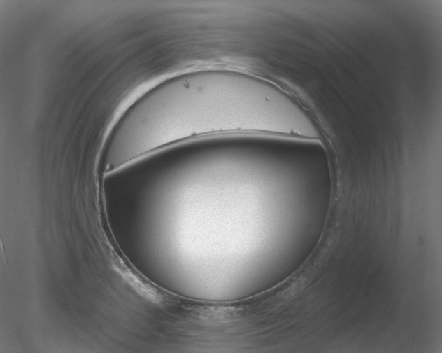 X0000078311184200611031039