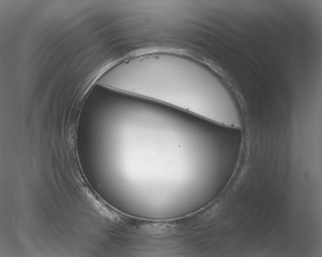 X0000078311185200611031039