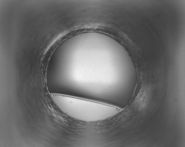 X0000078311256200611031038