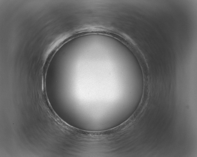 X0000078311269200611031038