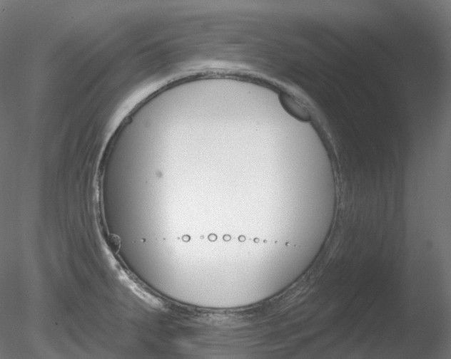 X0000078311287200611031037