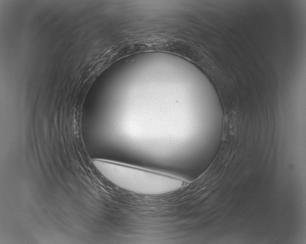 X0000078311298200611031036