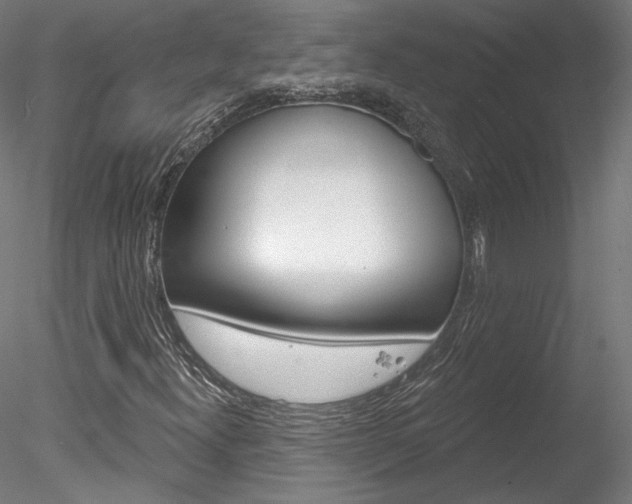 X0000078311300200611031036