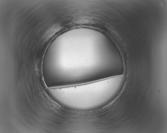X0000078311305200611031036