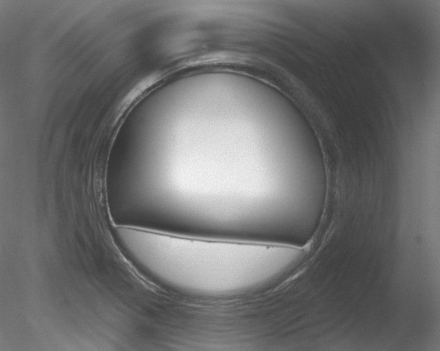 X0000078311321200611031037