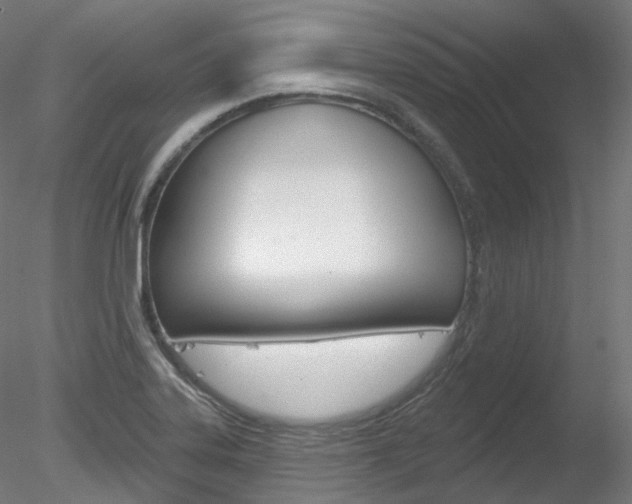 X0000078311323200611031037