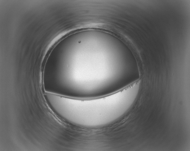 X0000078311324200611031037