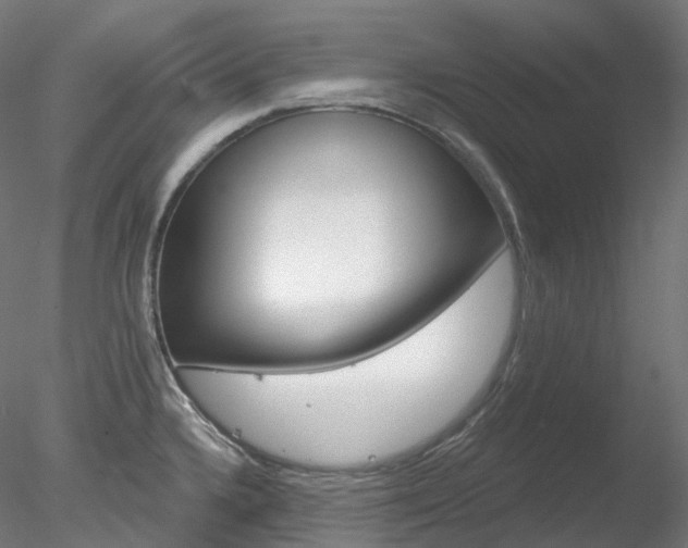 X0000078311336200611031037
