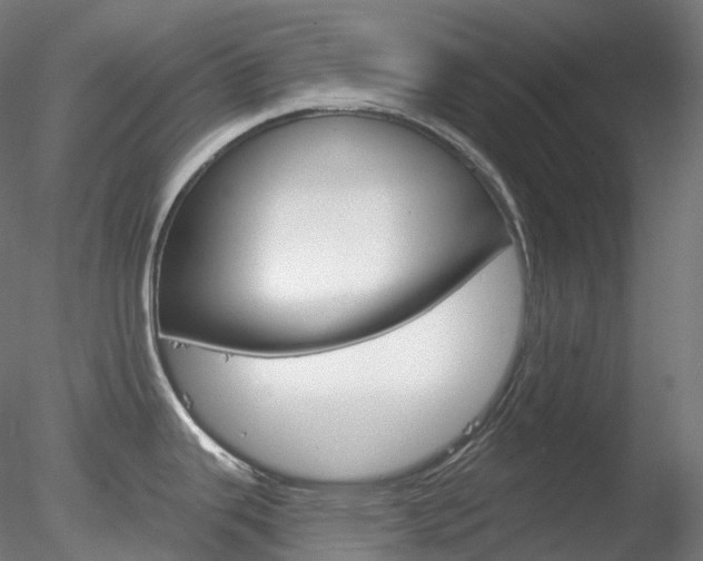X0000078311343200611031037