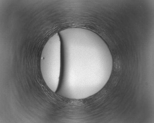 X0000078311346200611031036