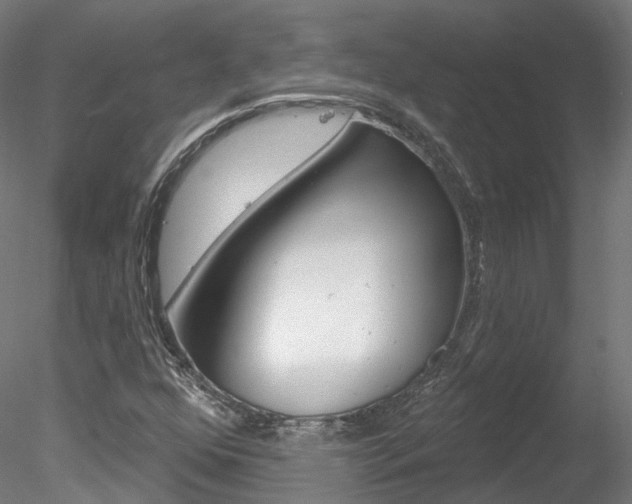 X0000078311352200611031036