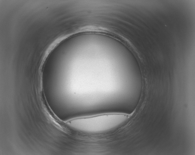 X0000078311371200611031036