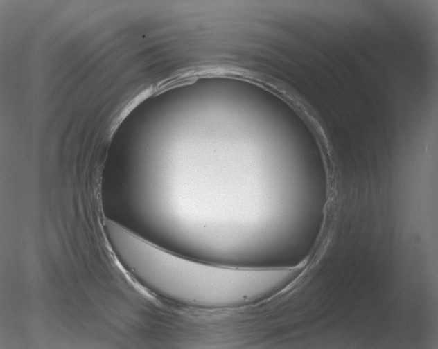 X0000078311385200611031036