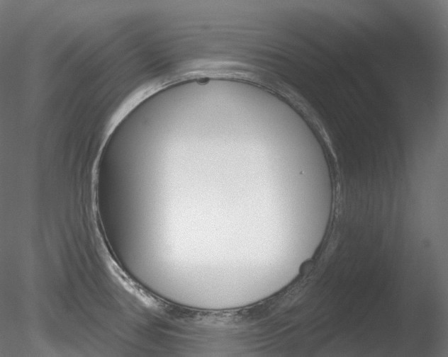 X0000078311386200611031036