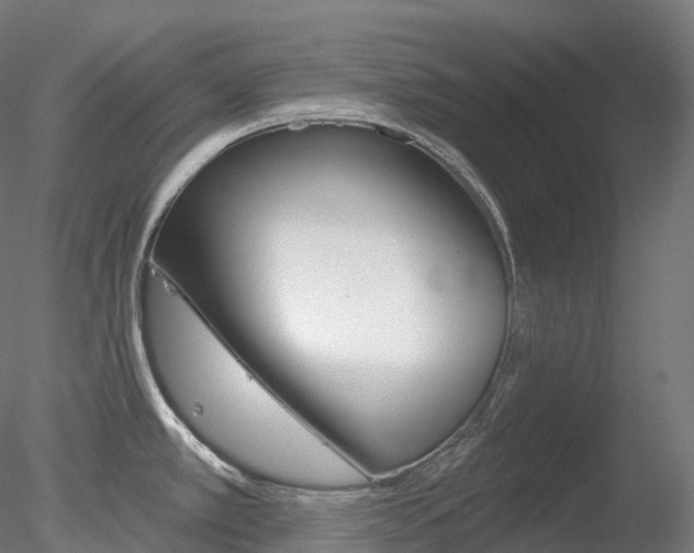 X0000078311389200611031036