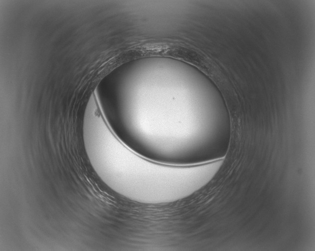 X0000078311394200611031035