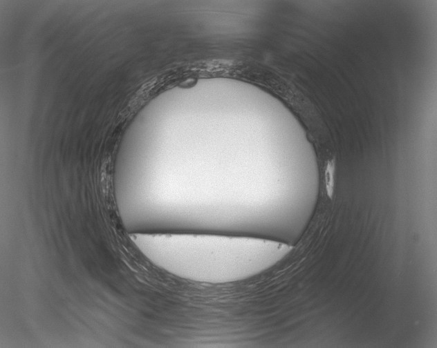 X0000078311395200611031035