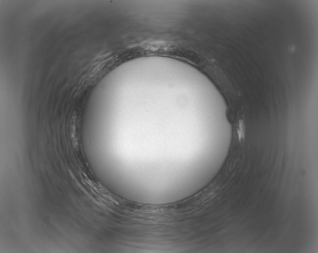 X0000078311396200611031035