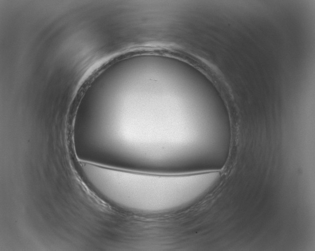 X0000078311412200611031035