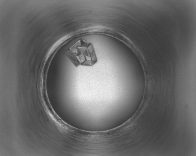 X0000078311418200611031035