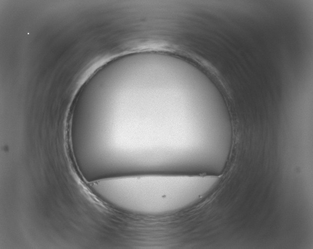 X0000078311423200611031035