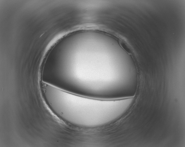 X0000078311424200611031035