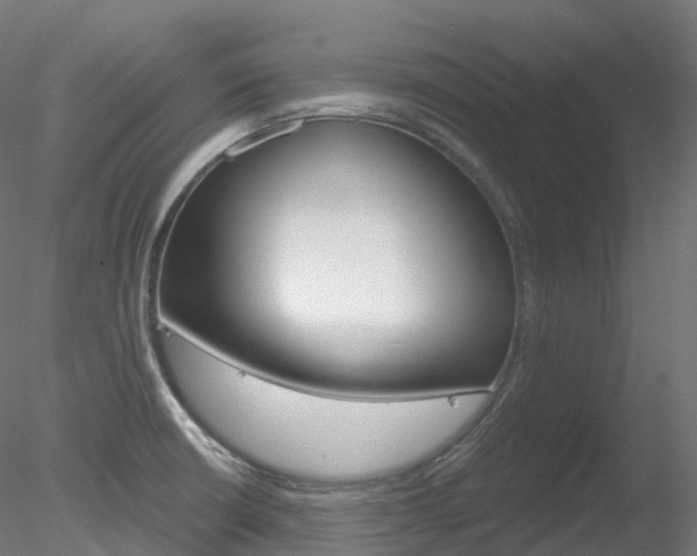 X0000078311426200611031035
