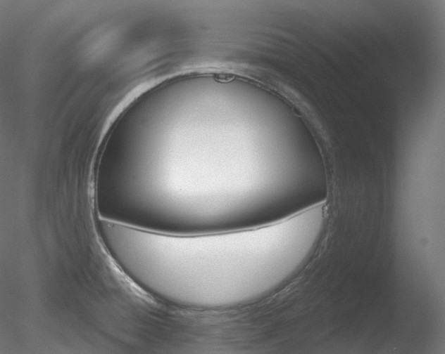 X0000078311428200611031035