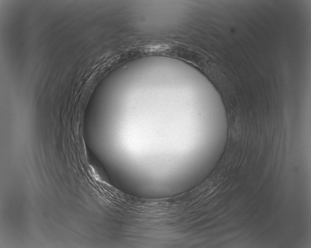 X0000078311441200611031035